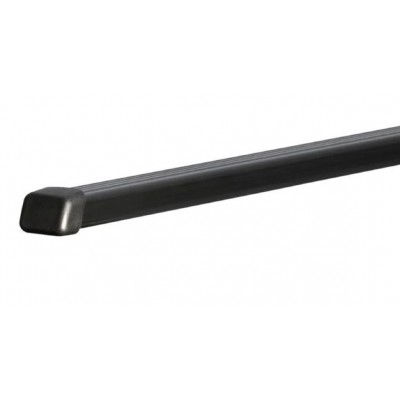 BARRA THULE ACO CARBONO SQUAREBAR 118CM